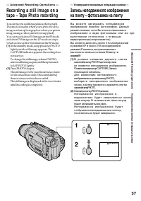 Страница 37