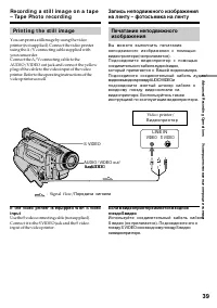 Страница 39