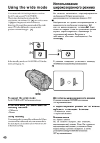 Страница 40