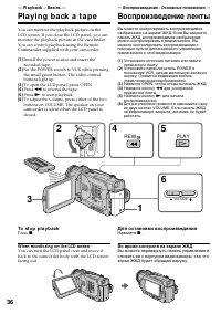 Страница 36