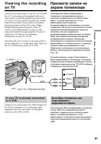 Страница 41