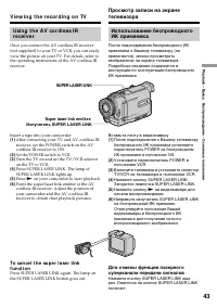 Страница 43
