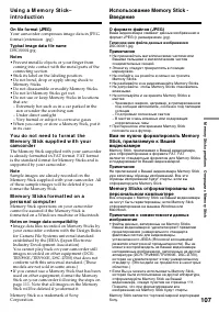 Страница 107