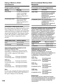 Страница 110