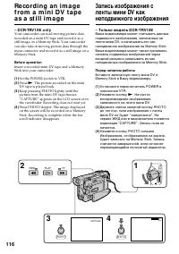 Страница 116