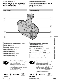 Страница 165