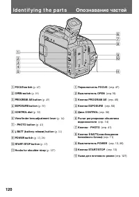 Страница 120