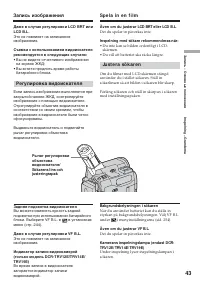 Страница 43