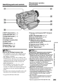 Страница 293