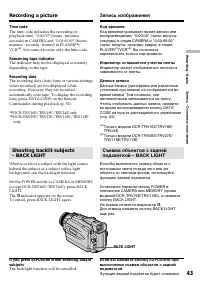 Страница 43