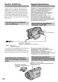 Страница 116