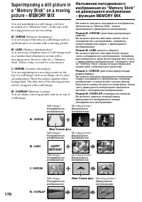 Страница 170