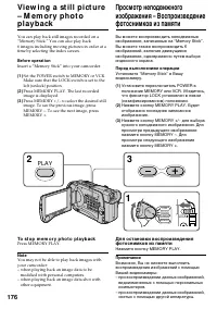 Страница 176