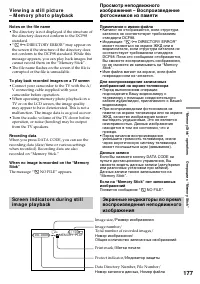 Страница 177