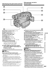 Страница 241