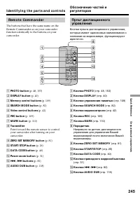 Страница 245
