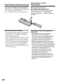Страница 246