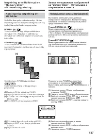 Страница 137