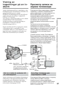 Страница 57