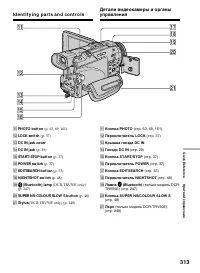 Страница 313
