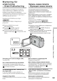 Страница 181