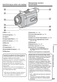 Страница 291