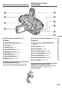 Страница 117