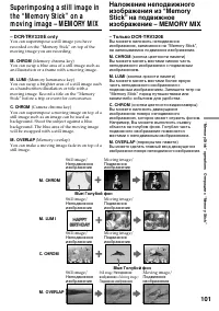 Страница 101