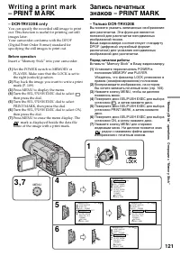 Страница 121