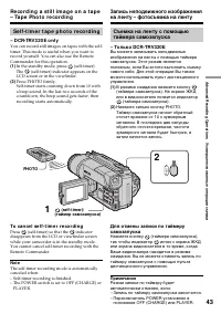 Страница 43