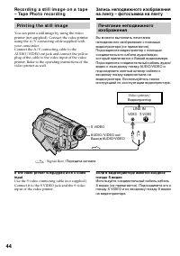 Страница 44