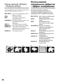 Страница 56
