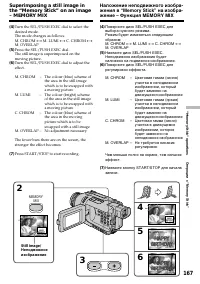 Страница 167