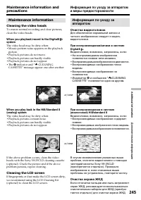 Страница 245