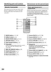 Страница 262