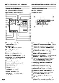 Страница 264