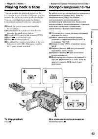 Страница 43