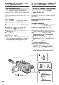 Страница 54