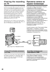 Страница 40