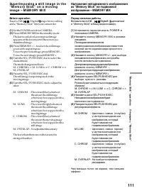 Страница 111