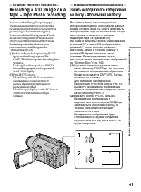 Страница 41