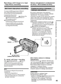 Страница 43