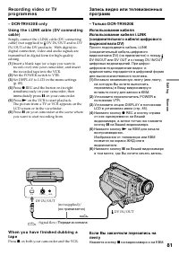 Страница 81