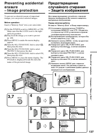 Страница 137
