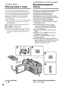 Страница 36