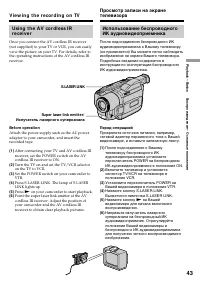 Страница 43