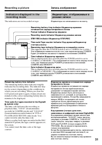 Страница 31