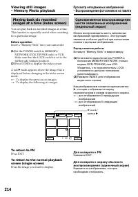 Страница 214