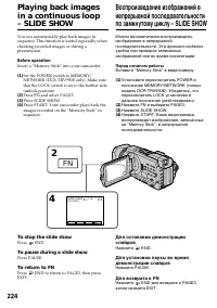 Страница 224