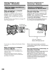 Страница 238